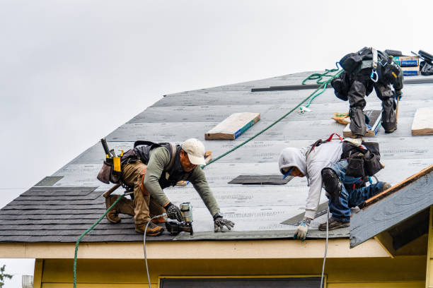 Professional Gutter Installation technician working in Wadley, AL